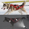 thumbnail image 6 of Tnobhg Pet Harness Reflective Dog Sled Harness Adjustable Comfortable Pet Chest Strap for Outdoor Night Walking, 6 of 8