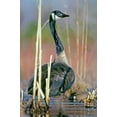 thumbnail image 2 of Fitzharris, Tim 22x32 Gold Ornate Wood Framed with Double Matting Museum Art Print Titled - Canada Goose I, 2 of 4
