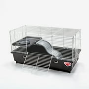 Kaytee My First Home Habitat for Pet Rats, Black Plastic and Wire Habitat, 24 x 12 in