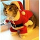 thumbnail image 2 of S Disfraces navideños para gatos, ropa divertida de Papá Noel para gatos pequeños, perros, Navidad, Año Nuevo, ropa para Gato, trajes de invierno para gatitos, 2 of 4