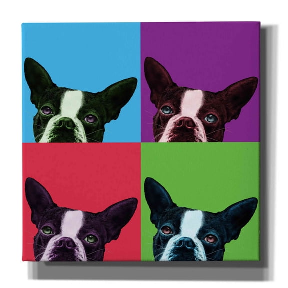 Epic Graffiti 'Loyalty Pop' by Jon Bertelli, Canvas Wall Art, 26"x26"