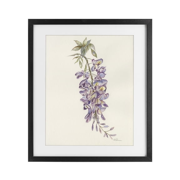 Stupell Industries French Country Delicate Hyacinths Study Black Framed Print Under Glass, 13 x 16, by Cady Driver