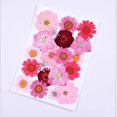thumbnail image 3 of Flores secas naturales, flores prensadas, hojas secas mezcladas, flores secas múltiples para manualidades, álbum de recortes de resina Diy, 3 of 5