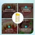 thumbnail image 4 of Pasta dental blanqueadora calmante, pasta dental de limpieza profunda para dientes fuertes, dientes limpios, boca fresca, cuidado suave, descontaminación profunda, mejora la salud bucal, 100 g de past, 4 of 8