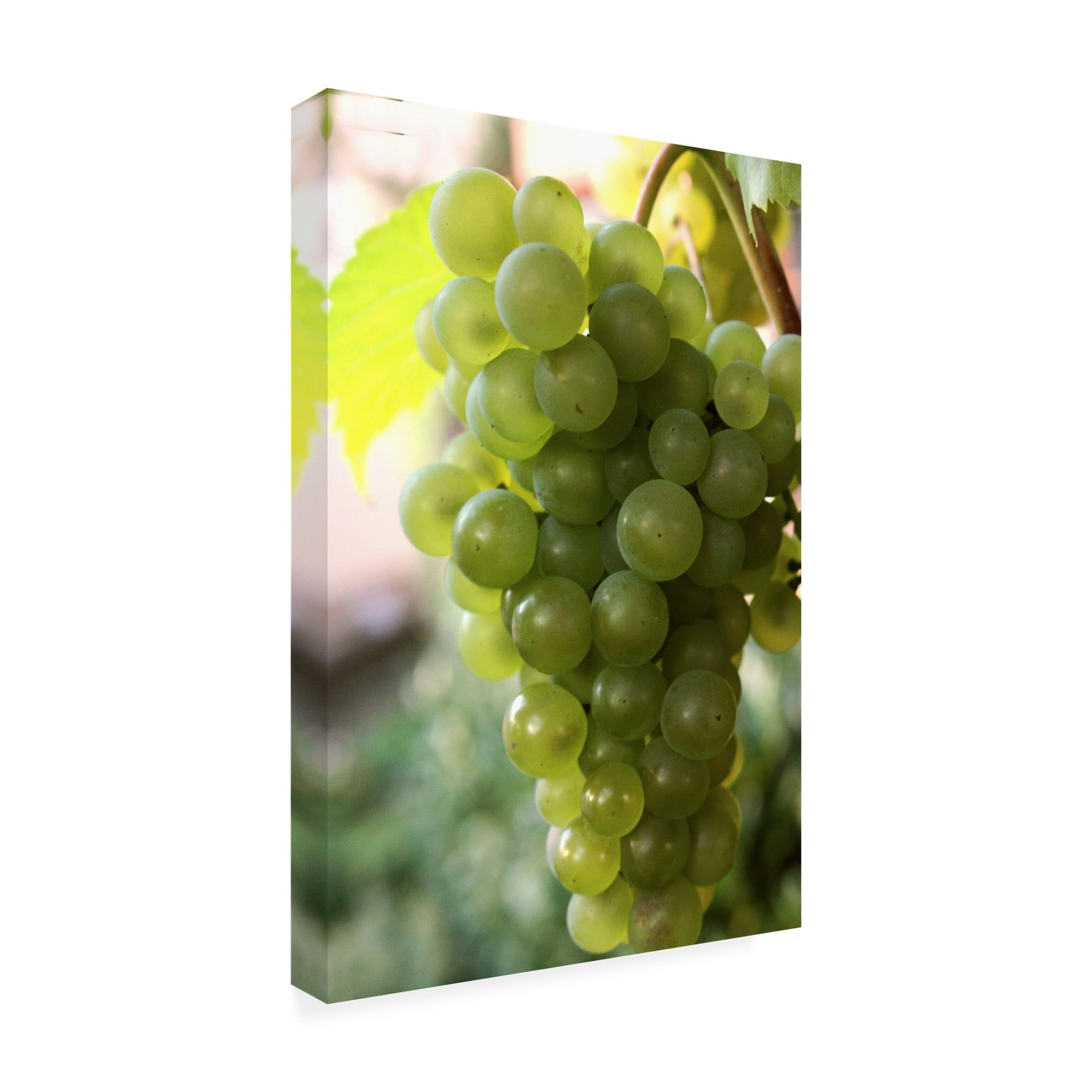 Canvas Wall Art - DANE 'Food 70' Wall Art for Living Room, Bedroom, or Office Décor by Trademark Fine Art - 22 x 32 Inches