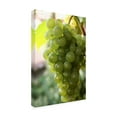 thumbnail image 3 of Canvas Wall Art - DANE 'Food 70' Wall Art for Living Room, Bedroom, or Office Décor by Trademark Fine Art - 30 x 47 Inches, 3 of 4