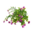 thumbnail image 1 of Moins de 5 Fleurs Artificielles Plante Verte Plante en Pot Clôture Fleur Eucalyptus Arrangement Floral, 1 of 1