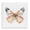 Warm Watercolor Butterfly, variant on Stupell Industries Transitional Warm Watercolor Butterfly Canvas Art, 17 x 17, by Kim Allen