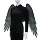 thumbnail image 5 of 2 alas de ángel 3D para disfraz de carnaval, fiesta, accesorio con correa Negro y colorido, 5 of 9