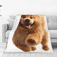 thumbnail image 1 of Fotbe Happy Fluffy Running Dog Manta de Franela Acolchonada con Estampado, Súper Suave y Esponjosa, Extra Grande para Sofá, Cama, Uso Todo el Año-50"x40", 1 of 7