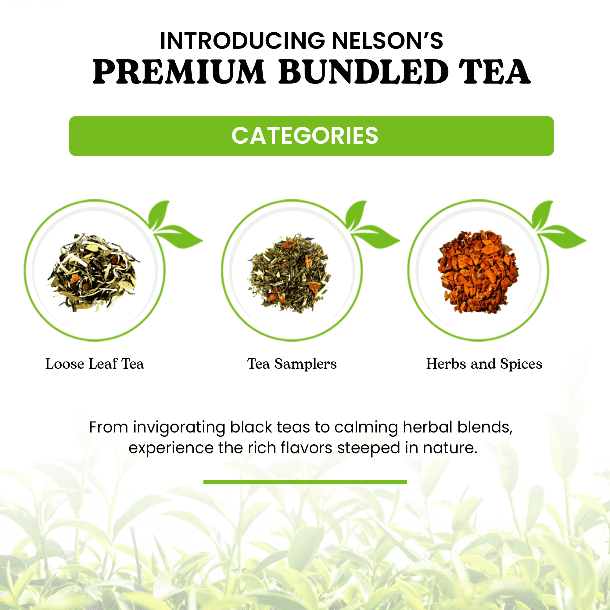 Nelson's Tea Bundle - Mango Passionfruit (2oz) & Raspberry Hibiscus (2oz) - Two Unique Flavors: Black Tea with Dried Mango, Cornflowers, & Safflower, and Green Rooibos with Raspberries, & Pomegranate