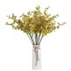 thumbnail image 4 of Orquídea de Baile del Pavo Real Amarilla: Decoración Zen para Hogar con Maceta de Plástico, Ideal para Ambientes Tranquilos y Elegantes., 4 of 6