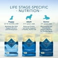 thumbnail image 6 of Blue Buffalo Life Protection Formula Chicken and Brown Rice Dry Dog Food for Puppies, Whole Grain, 6 lb. Bag, 6 of 9