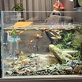 thumbnail image 4 of USHOBE 10Ud Hoja Para Terrario Descanso Y De Ranas Y Reptiles, 4 of 8
