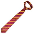 thumbnail image 5 of Skeleteen Maroon and Gold Tie - Wizard Costume Accessories Dress Up Ties - 1 Piece, 5 of 6