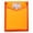 Orange, variant on Plastic Expanding File Folder, Transparent Envelopes with Snap Closure, Folders for Documents with Label, Colorful File Folder Organizer Holder, Transparent Accordion File Pouch, 1 Pcs, 9.84x7.48"