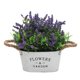 thumbnail image 1 of Flor artificial simple Sala de estar Maceta falsa Flor de simulación decorativa Noticed HA8802-00B, 1 of 6