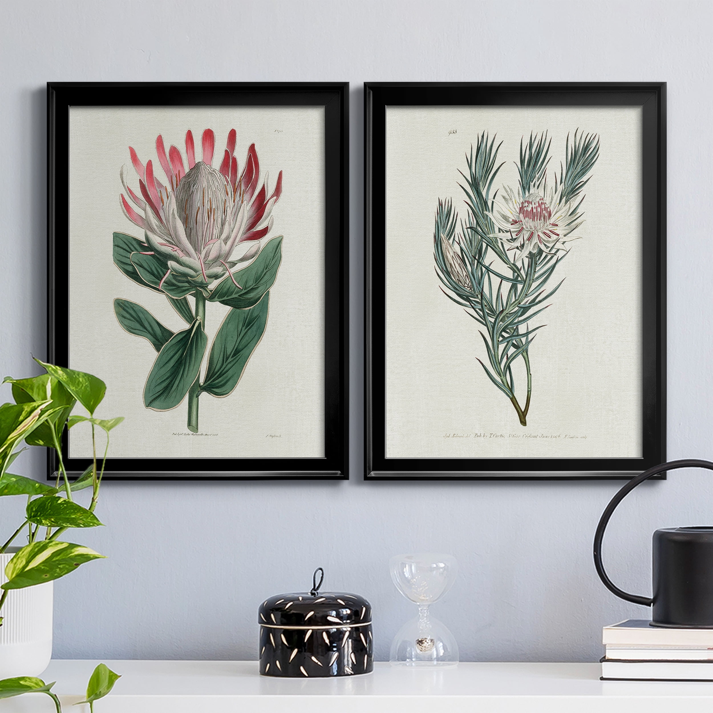 2 Piece Set Protea N13 Premium Framed Canvas - Ready to Hang - 22.5 x 30.5 Each - Black Frame
