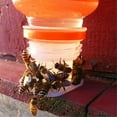 thumbnail image 2 of Herramienta De Alimentador De Agua De Colmena Equipo De 20 Piezas, 2 of 7