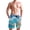 House on Beach, variant on Men's Quick Dry Swim Trunks Beach Shorts Casual Summer Board Shorts with Pockets, Turtles Shells Starfish Line