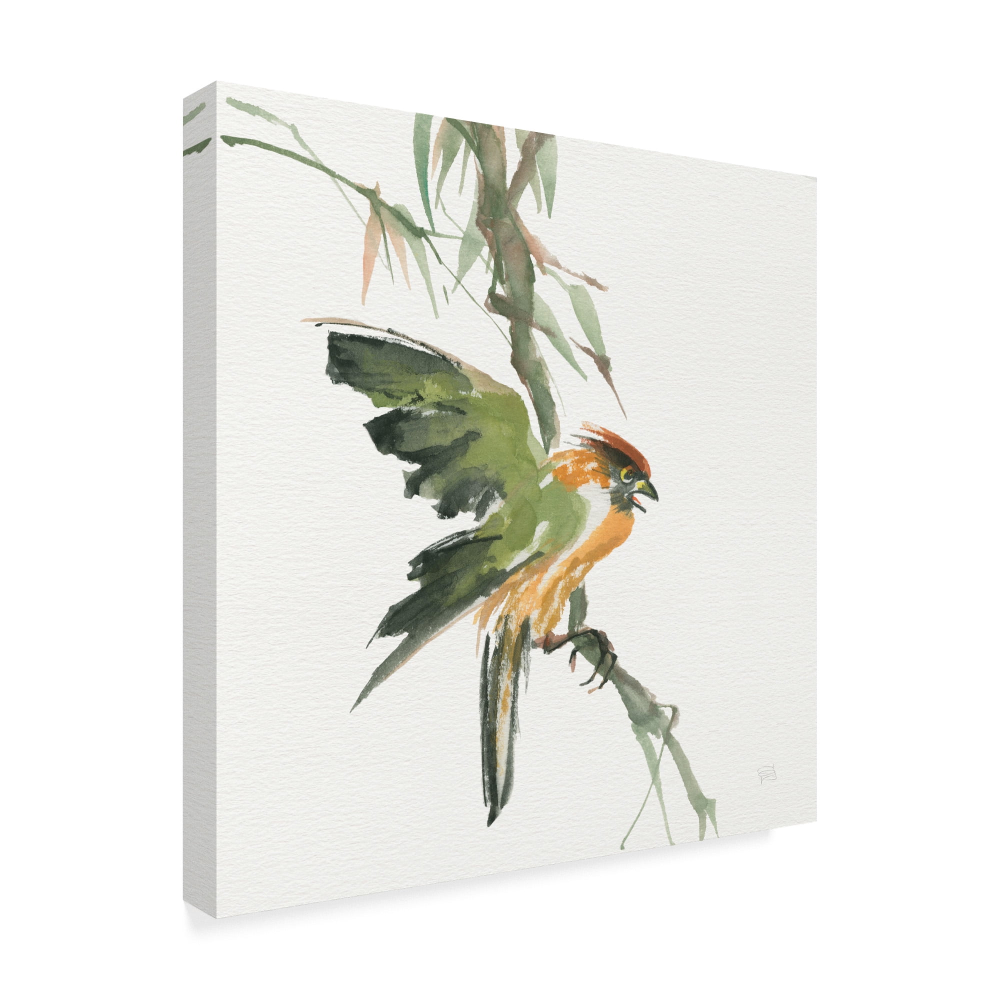Trademark Fine Art 'Formosan Firecrest' Canvas Art by Chris Paschke