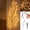 48 Lights#813, variant on 5.3ft ft 48 Lights-LED Lighted Willow Vine with Remote, Warm White Flexible Branch String Lights, USB Powered Decorative Ivy Garland for Bedroom, Wall & Living Room Decor