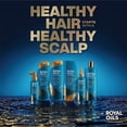 thumbnail image 4 of Set de champú y acondicionador Head & Shoulders Royal Oils, 4 of 5
