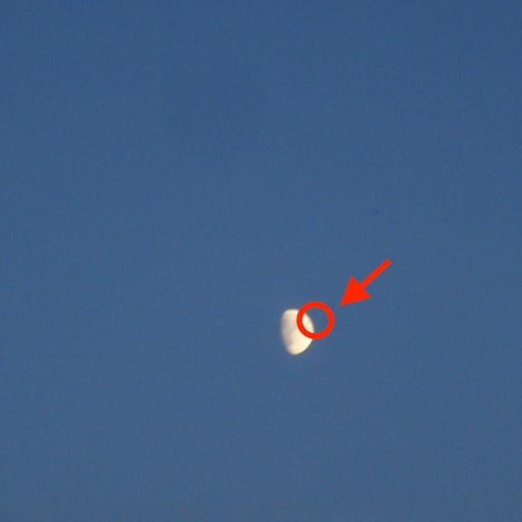 Cleopatrick - Fake Moon - Music & Performance - CD