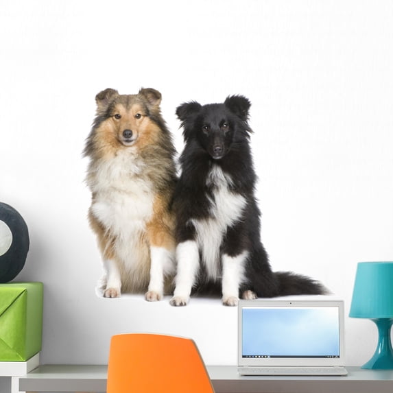 Couple Shelties Wall Decal by Wallmonkeys Peel and Stick Graphic (24 in W x 21 in H) WM254676
