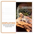 thumbnail image 4 of OULII Lot de 1 Terrarium pour Insectes pour Gecko et Scorpion 5.89x5.89x4.32 Po, 4 of 8