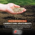 thumbnail image 5 of X-Seed Ultra Premium Quick And Thick Lawn Seed Mixture – Rapid Germination for Any Lawn, Dense Coverage in Sun To Shade, High-Traffic Areas,Fescue, Kentucky Blue, & Perennial Ryegrass Blend, 20lb Bag, 5 of 5