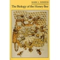 thumbnail image 2 of The Biology of the Honey Bee, 2 of 3
