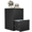 Black, variant on Marcree Wooden 2 Drawer File Cabinet, Wood Vertical Filing Cabinet for Letter Size Filings, Under Desk Small Filing Cabinets for Home Office, Walnut