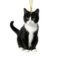 thumbnail image 2 of AJKSFHIU Black Cat Christmas Ornament,2D Christmas Ornament,Christmas Birthday Gift for Cat Lovers,Black Cat Xmas Decor Tree Hanging,Christmas Ornament,Car Hanging Ornaments,Lovely Cats Ornaments, 2 of 8