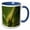 Blue/White, variant on 3drose, Usa, Florida, Palmetto, Sabal Palmetto, Detail, 15oz Two-tone Green Mug