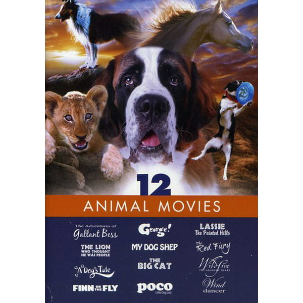 Animal Movies: Family Film (DVD) 