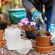 thumbnail image 4 of 10 macetas transparentes con orificios de drenaje para hierbas, flores y cactus., 4 of 8