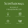 thumbnail image 3 of Scentsationals Enchanted Woods Scented Wax Melts, 2.5 oz, Mahogany and Amber, 3 of 4