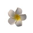 thumbnail image 1 of Yuarrent 10 Uds. Cabezas de flores artificiales de Plumeria Rubra de 9cm para sombrero, decoración de boda para el hogar Decoración Yuarrent JJ7192-00, 1 of 6
