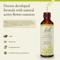 thumbnail image 2 of Esencia floral Bach Original de castaña blanca, 20 ml, vegana, 2 of 6