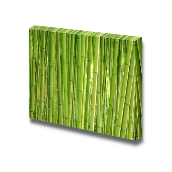 wall26 - Canvas Prints Wall Art - Close Up of Fresh Green Bamboo Sticks | Modern Wall Decor/Home Decoration Stretched Gallery Canvas Wrap Giclee Print. Ready to Hang - 24" x 36"
