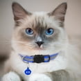 thumbnail image 4 of 2 Pack Reflective Cat Collars with Bell, Safety Quick Release Breakaway Kitten Collars, Adjustable 19-32cm Soft Collars for Cats & Kittens, 4 of 5