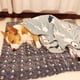 thumbnail image 3 of Perrera de franela de otoño e invierno, cálida alfombra para gatos y perros, alfombra gruesa para gatos y perros, cama para mascotas., 3 of 5