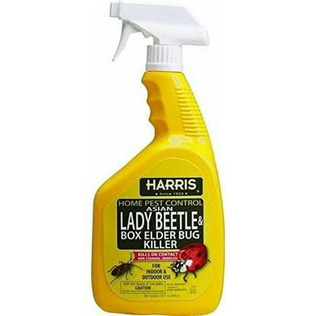 StkertoolsTM 32oz Asian Beetle Killer HBXA-32