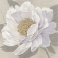thumbnail image 2 of Stoyanov 26x26 White Modern Wood Framed Museum Art Print Titled - In Full Bloom 2, 2 of 4