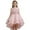 R78/Pink, variant on Vividxx Girls Dresses Puffy Gown Sleeveless Gown With Train For Pageant Performance Recital Party 2-3 Years