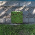 thumbnail image 4 of Miangastore Artificial Moss Turf Simulation Moss Grass Lifelike Green Plants Decor Micro Landscape Moss Turf, 4 of 8