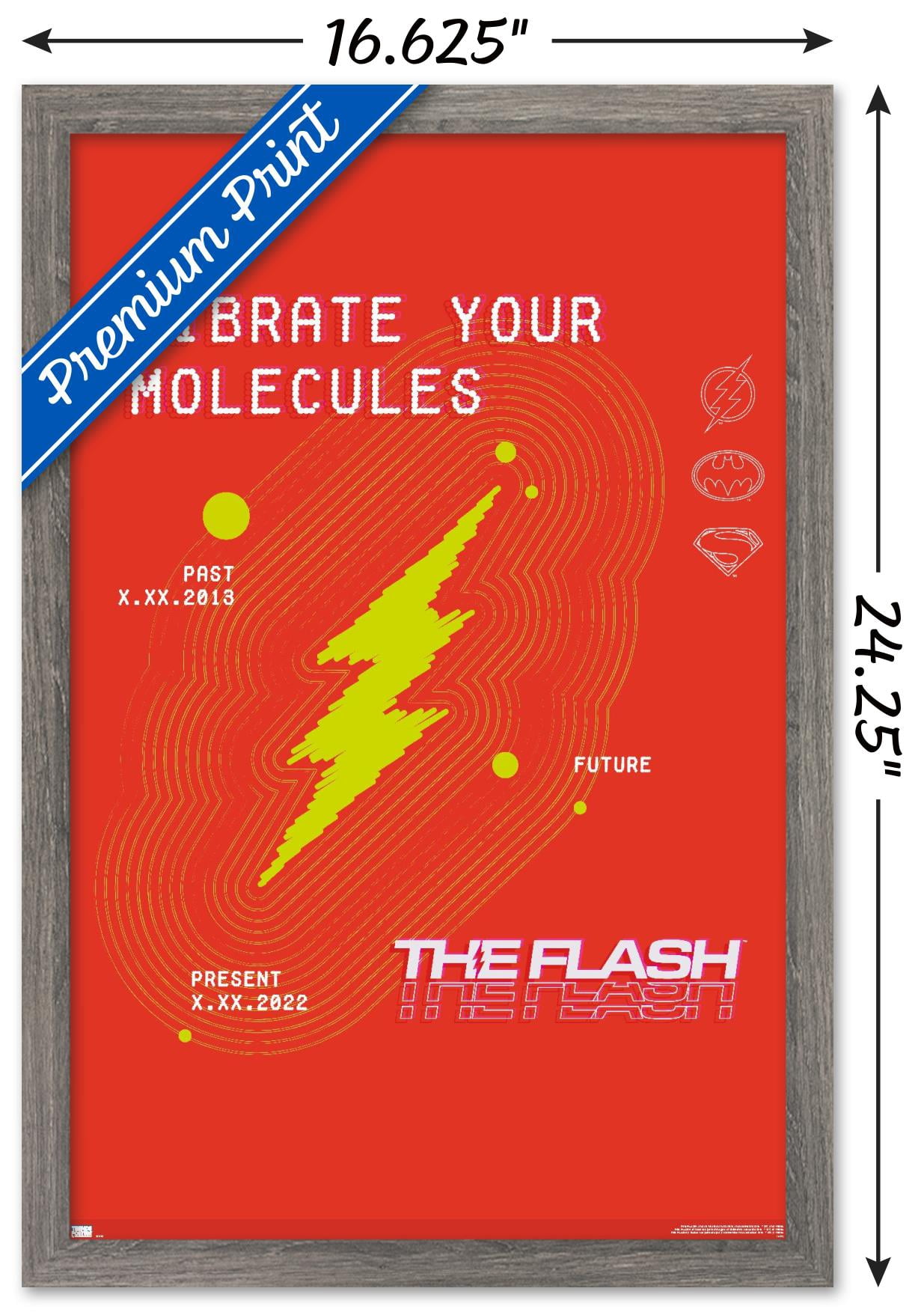 DC Comics Movie The Flash - Vibrate Your Molecules Wall Poster, 14.725" x 22.375" Framed