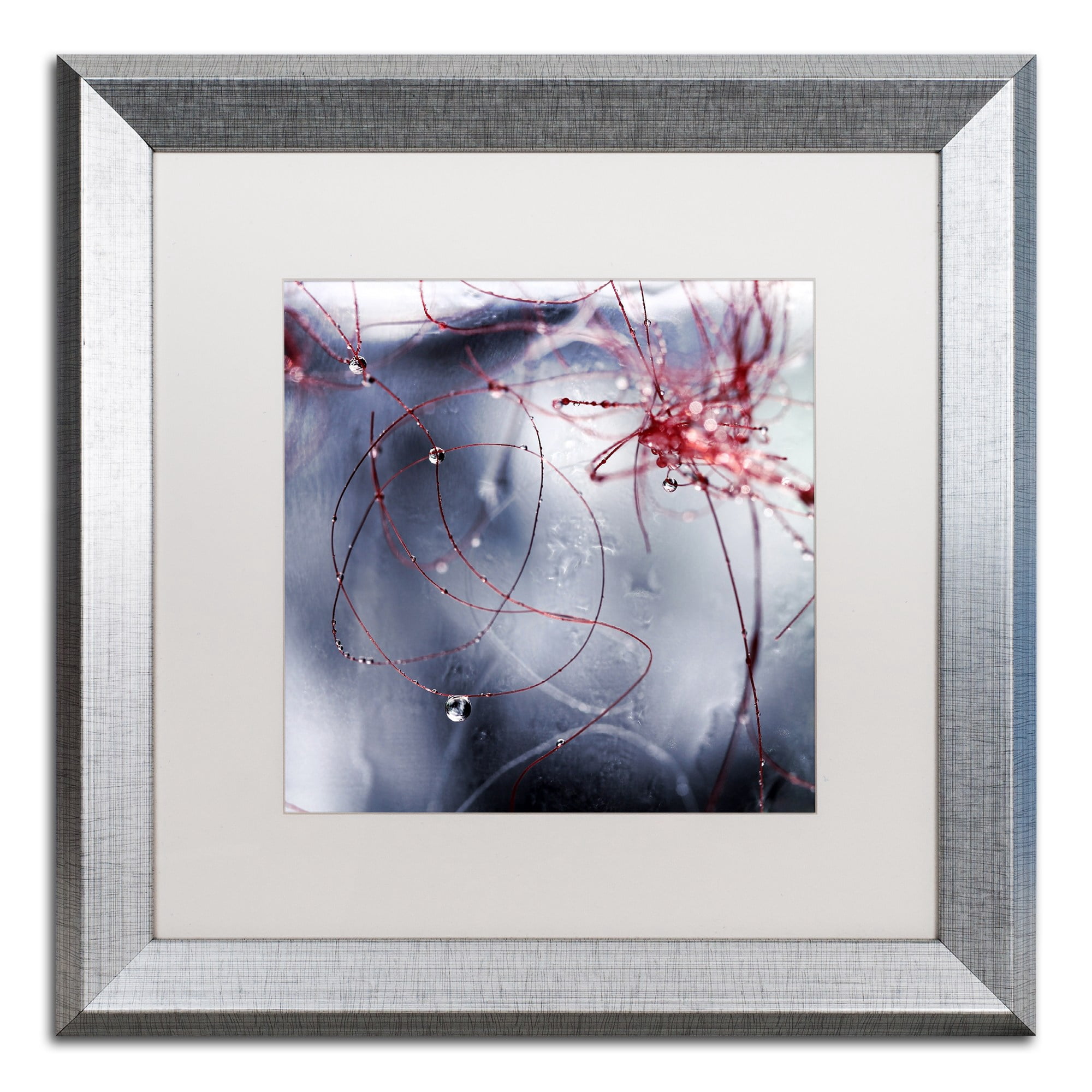 Trademark Fine Art "One Day I'll Find You" Canvas Art by Beata Czyzowska Young, White Matte, Silver Frame