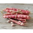 thumbnail image 5 of Cranberry Beans, 12 Ounces - Sproutable, Kosher, Raw, Vegan - by Food to Live, 5 of 7
